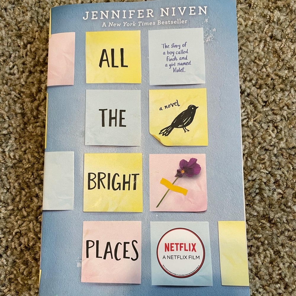 All the bright places book